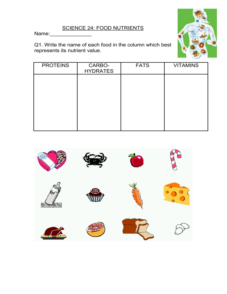 Food Nutrients Review Worksheet