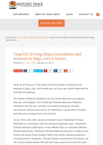 Yang Yin Xi Feng Helps Convulsions and Seizures in Dogs, Cats & Horses