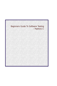 Beginner's Guide to Software Testing