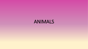 ANIMALS. General characteristics and vital functions. 