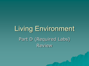 Living Environment Labs Review: Beaks, Biodiversity, Diffusion