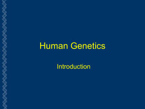 Human Genetics Intro