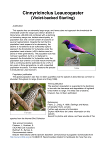 Cinnyricinclus Leaucogaster (Violet-backed Starling)