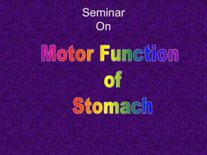 164424641-Motor-Function-of-Stomach