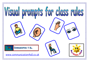 Visual prompts for class rules