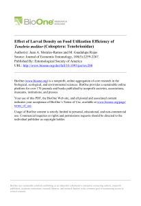 Effect of Larval Density...