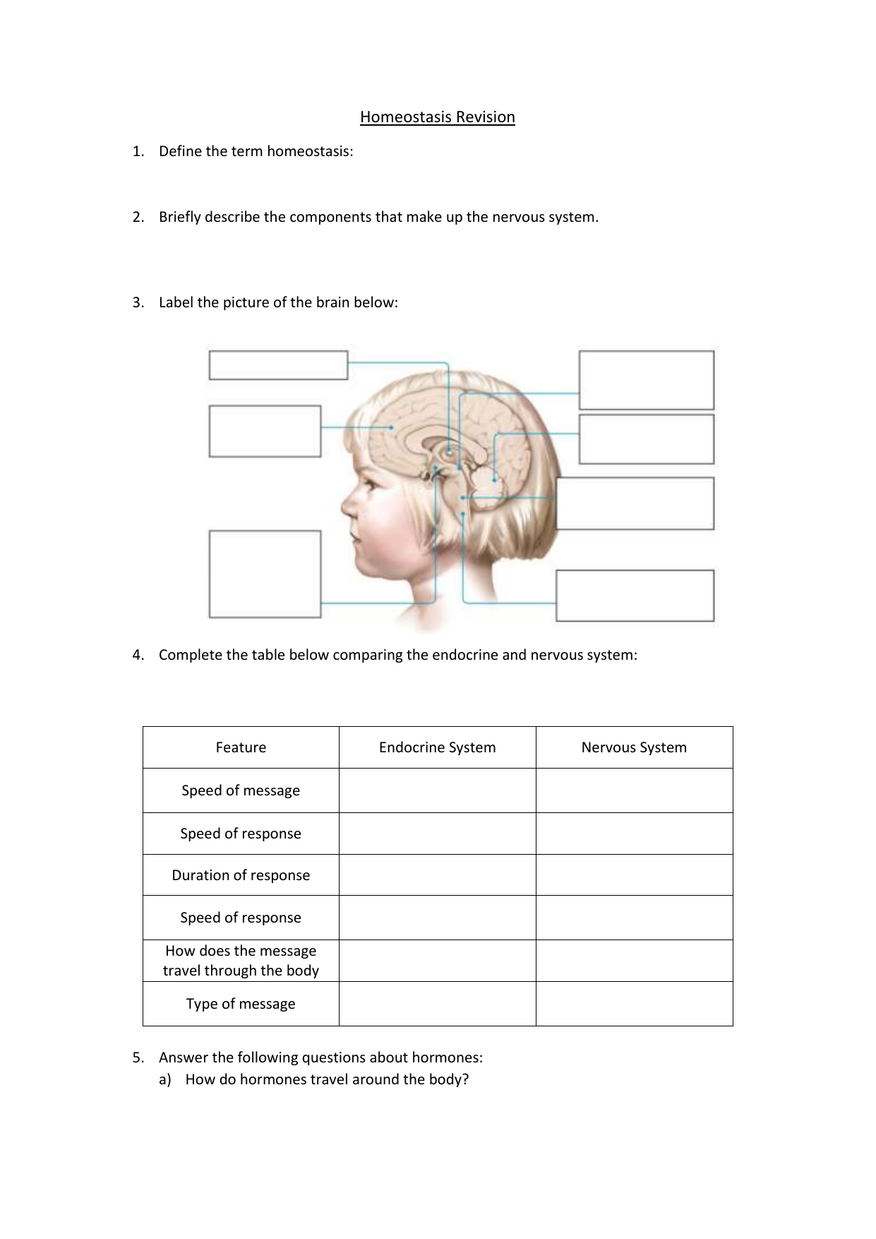 Homeostasis revision worksheet year 22 science For Nervous System Worksheet High School