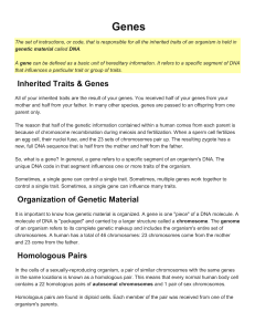 5b. DNA & Genetics