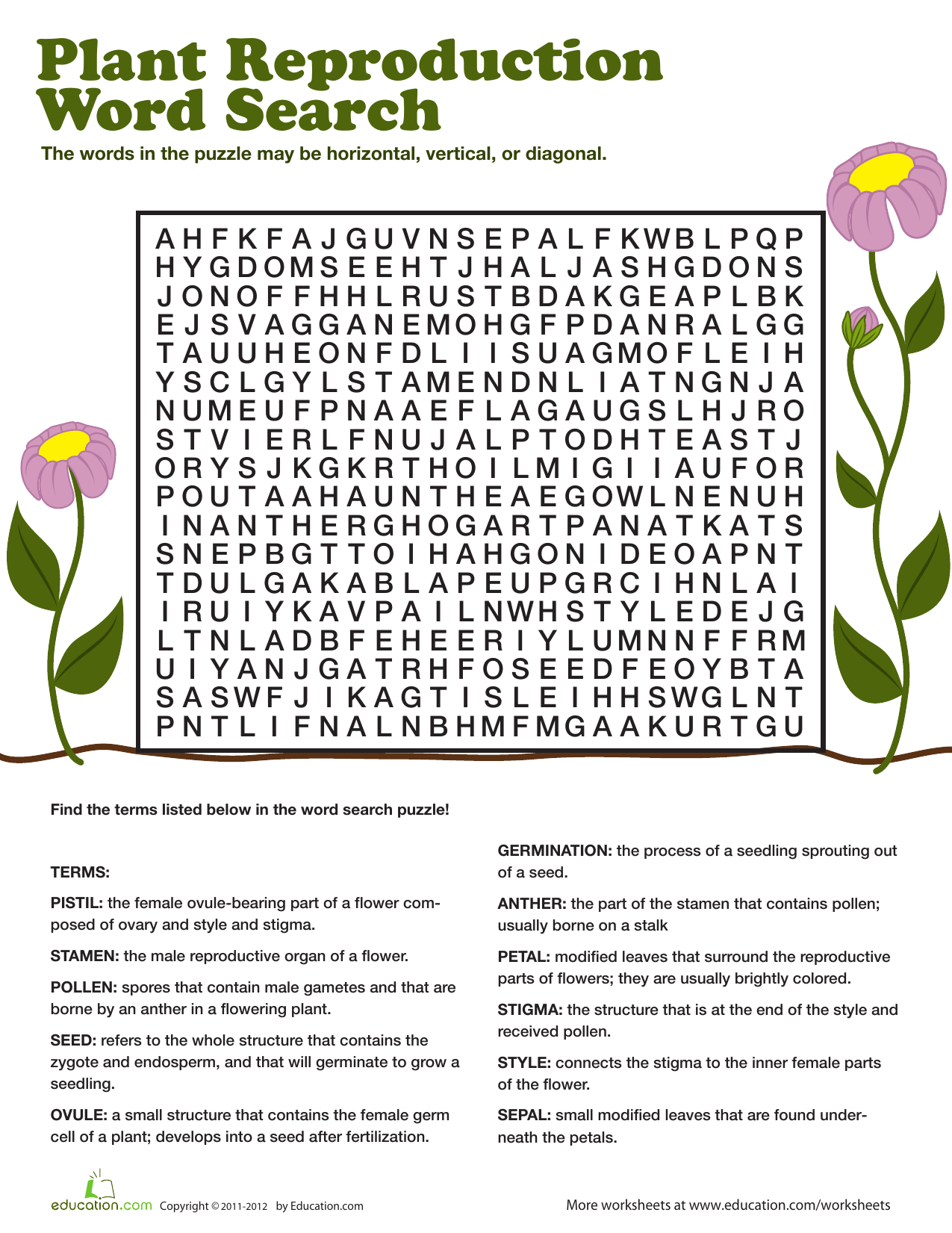 Plant reproduction wordsearch