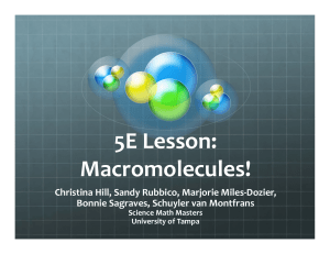macromolecules sm2