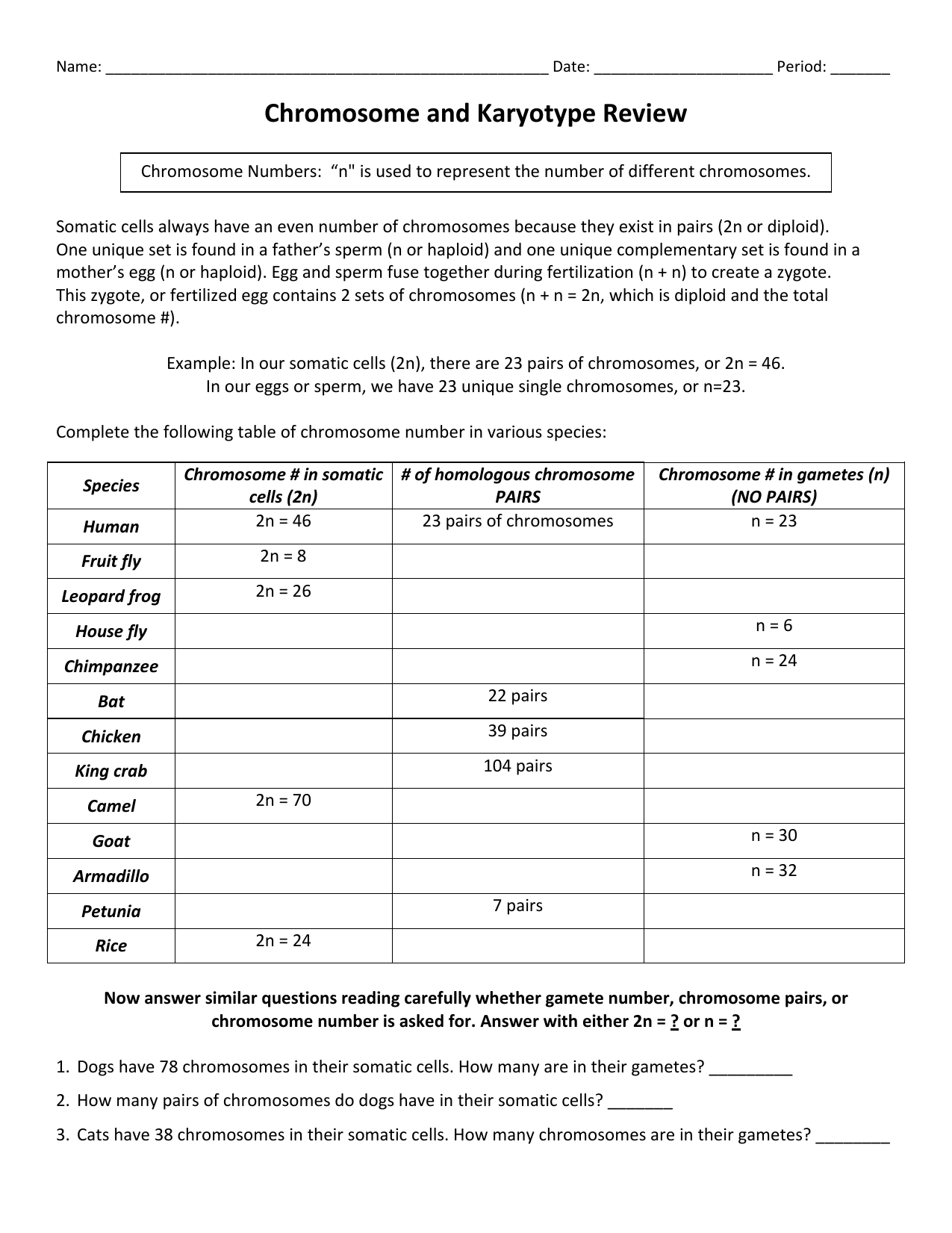 43 Chromosome And Karyotype Review Worksheet Answers Worksheet
