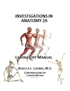 Anatomy 2A Lab Manual 2016-2017