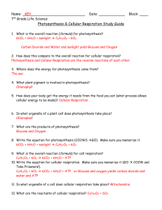 KEY Photosynthesis Cellular Resp Study Guide