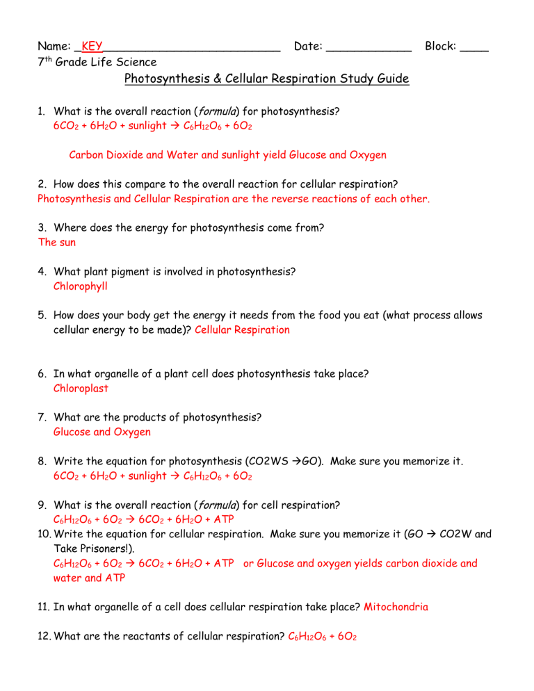 key-photosynthesis-cellular-resp-study-guide