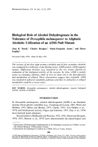 Biological role of alcohol dehydrogenase in the tolerance of Drosophila melanogaster to aliphatic alcohols. utilization of an ADH-null mutant