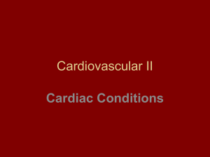 CVS The Heart (optional Reading)