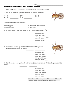 Practice Problems - Sex Linked Genes - Google Docs