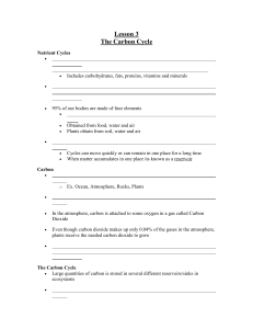 Lesson 3 Carbon cycle
