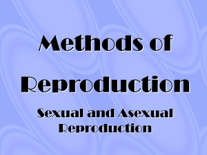 methods of reproduction ppt