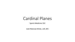 Lesson II - Cardinal Planes