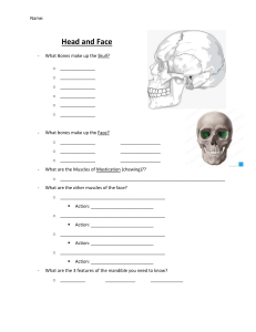 Head, Face, Neck, Thorax Worksheet
