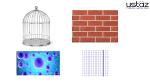 1.1 Cell structure and types