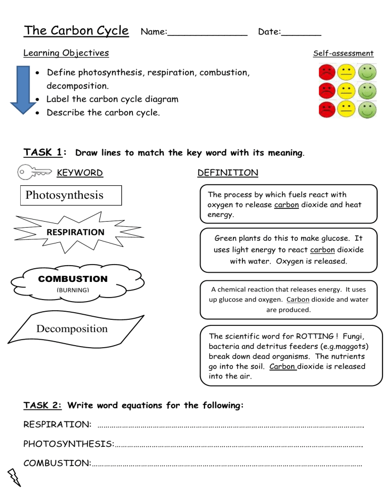 the-carbon-cycle-ws