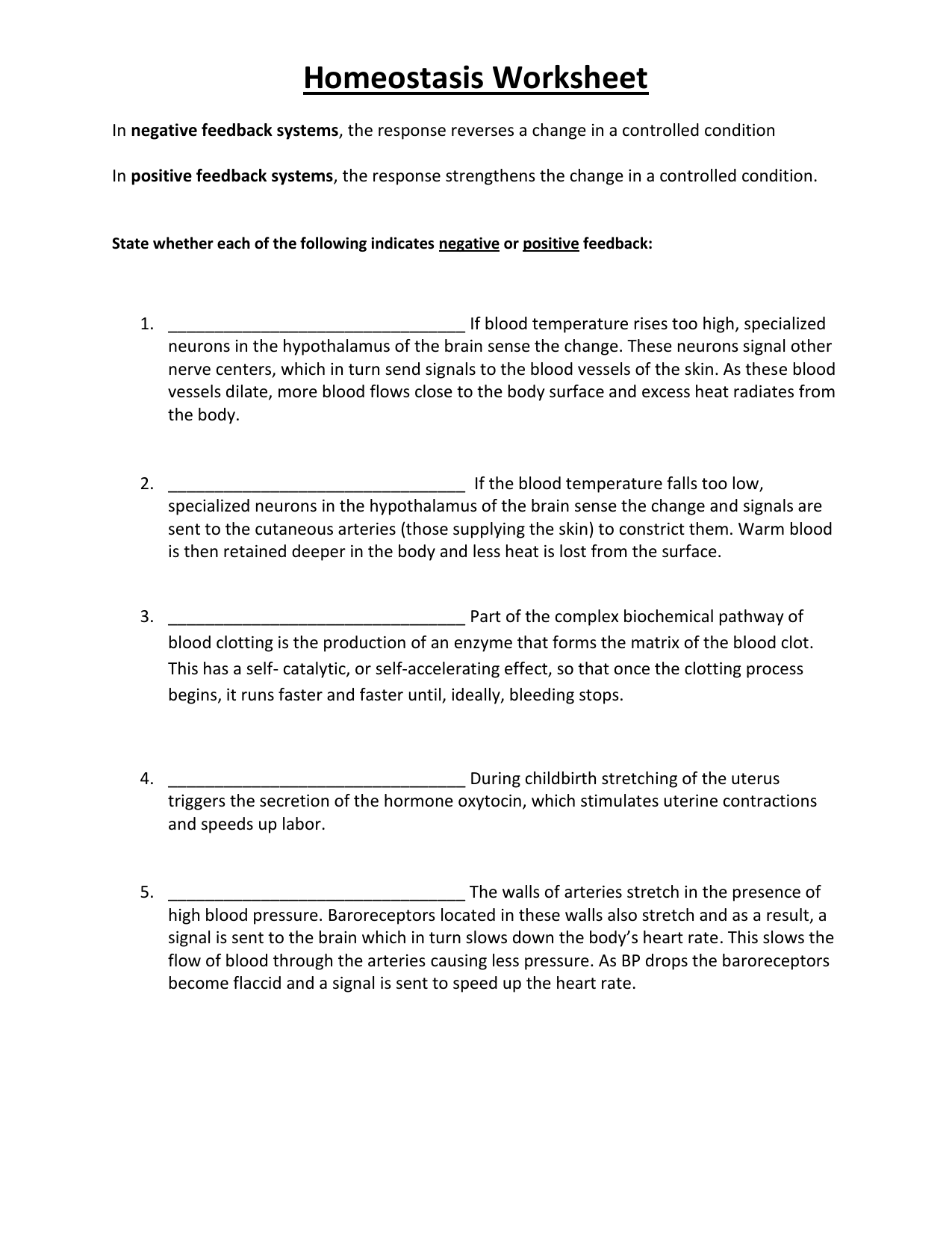 Homeostasis Worksheet