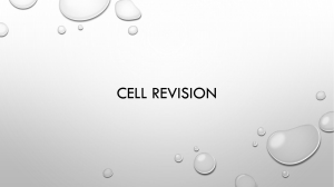 Cell Revision