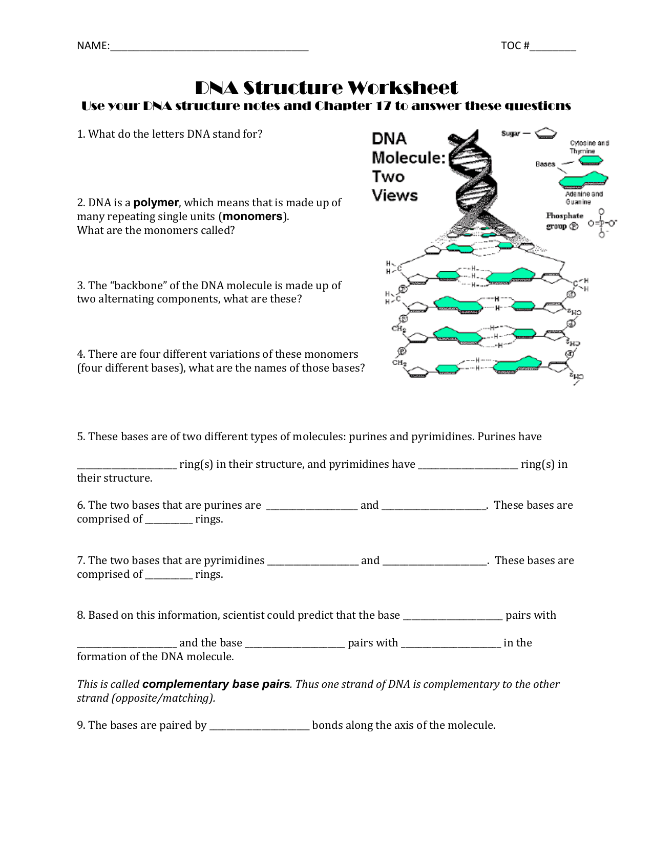 dna structure worksheet Inside Dna Structure Worksheet Answer
