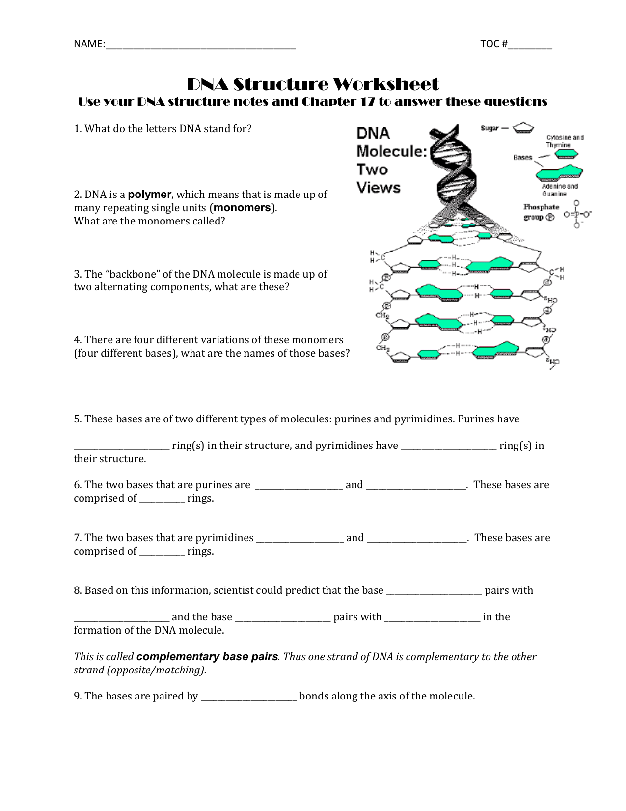 dna structure worksheet Pertaining To Dna Structure Worksheet Answer Key