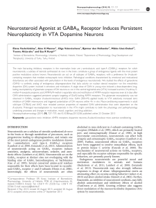 Neurosteroid agonist  at GABA(A)R induces persistant neuroplasticity in VTA dopamine neurons 