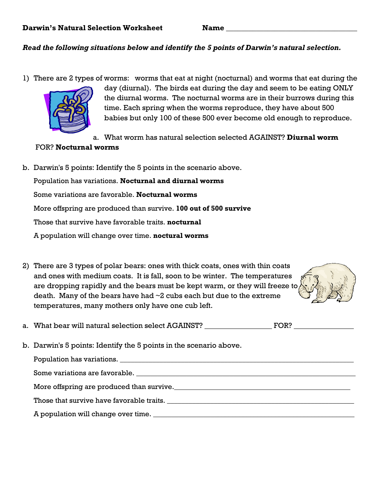 Natural Selection Worksheets Intended For Darwin039s Natural Selection Worksheet