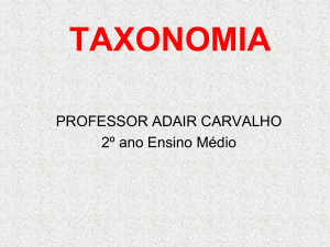 2-ano-aula-taxonomia
