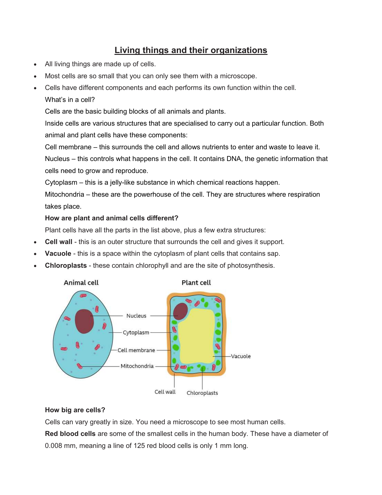 Cell KS3