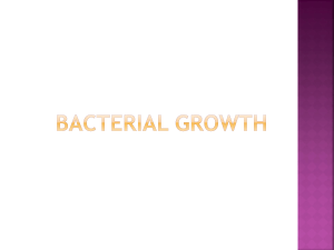 Bacterial Growth