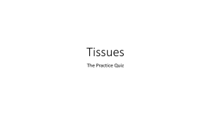 Tissues - Practice quiz