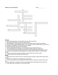 Mitosis Crossword Puzzle 1 