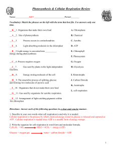 honors biology cell respiration and photosynthesis review packet answer key