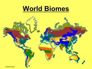 World Biome presentation 