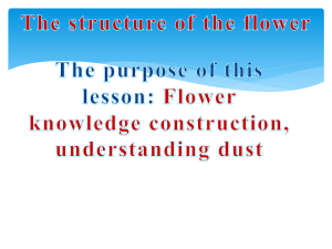 The structure of the flower