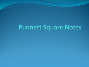 punnett-square-notes