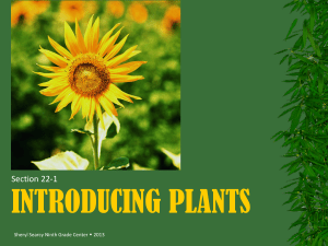 1-ACA Plant Foldable Notes PPT 2018