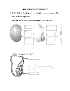 SEED STRUCTURE WORKSHEET