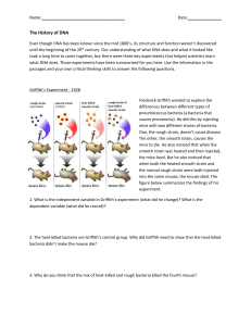 The History of DNA Worksheet