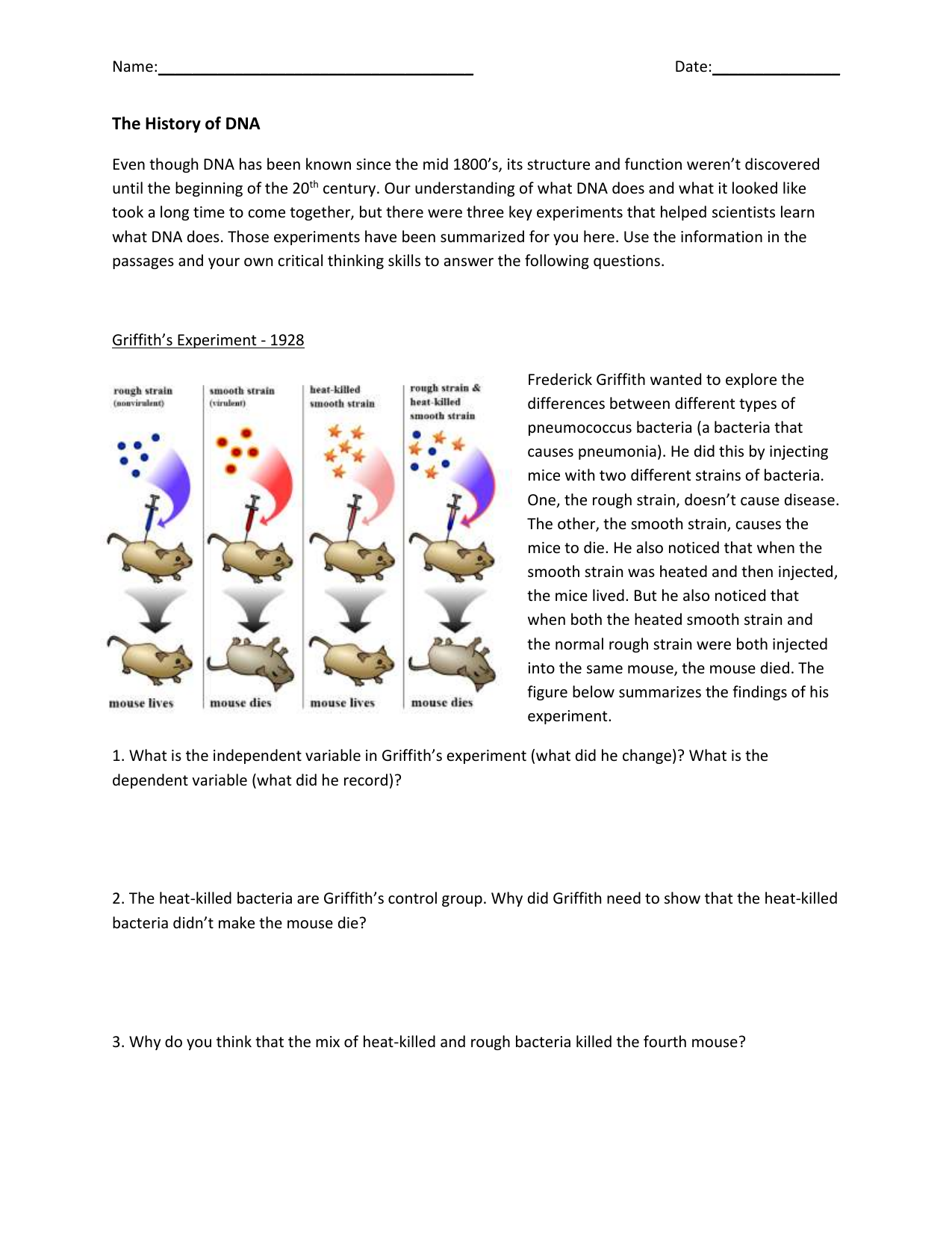 the-history-of-dna-worksheet-free-download-goodimg-co
