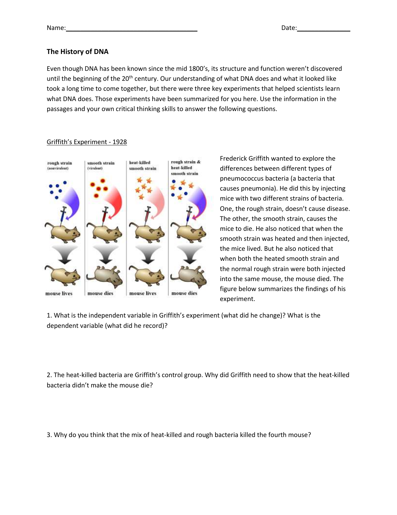 The History Of DNA Worksheet