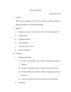 V Enzyme Lab Report