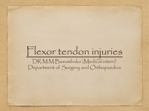 Flexor tendon Injuries ppt
