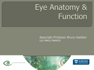 ophthalmology-v-eye-anatomy-and-function